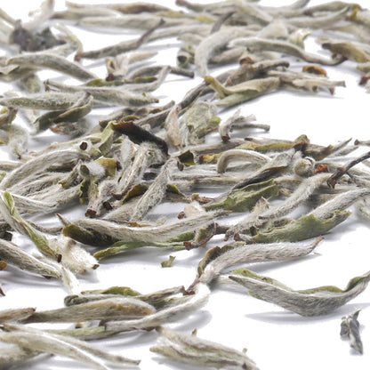 White Tea Fuding Organic Green Pekoe Silver Needle Loose Leaf Tea Chinese Tea 50g 1.76 oz