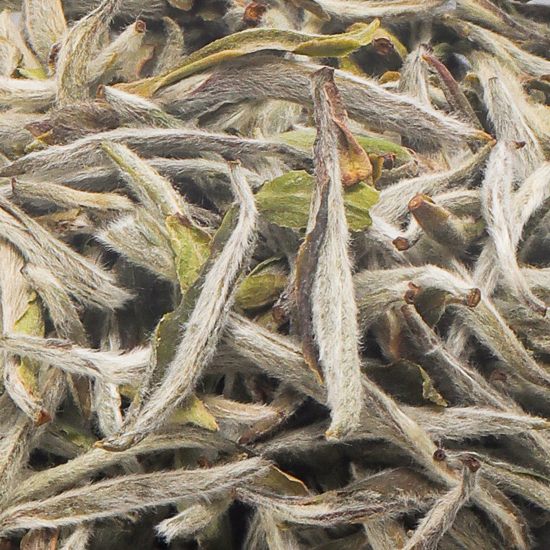 White Tea Fuding Organic Green Pekoe Silver Needle Loose Leaf Tea Chinese Tea 50g 1.76 oz